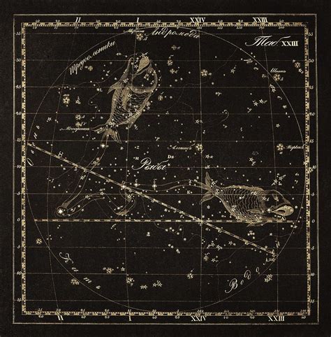 Pisces Constellation, 1829 Photograph by Science Photo Library