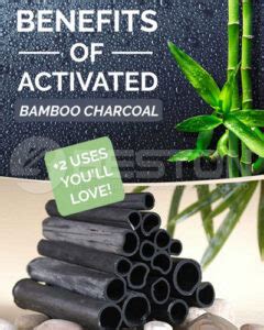 Bamboo Charcoal Machine - Uses and Benefits Here