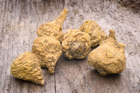 Maca | Description, Plant, Root, Supplement, Benefits, & Facts | Britannica