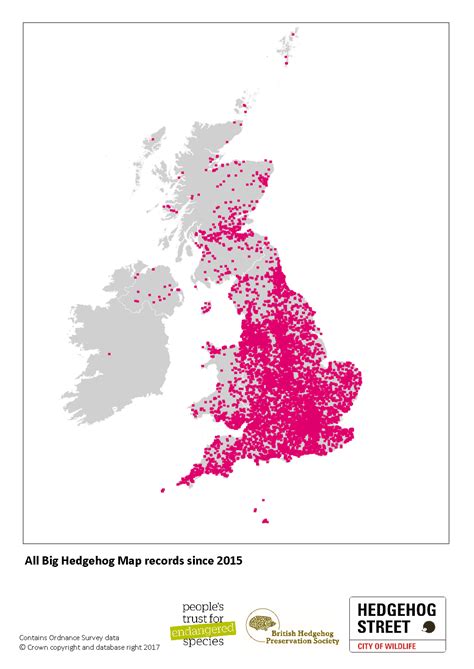 How many hedgehogs are left in Britain? - Hedgehog Street