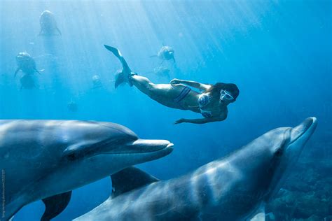 "Mermaid Swimming With Dolphins" by Stocksy Contributor "Song Heming ...