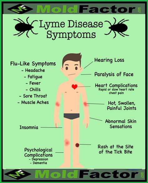 Pin on Mold Symptoms and Remedies