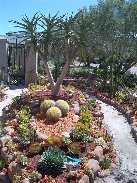 20+30+ Desert Front Yard Landscape Ideas – HOMYRACKS