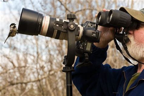 3 Best DSLR Cameras for Wildlife Photography [Read Before Buying]