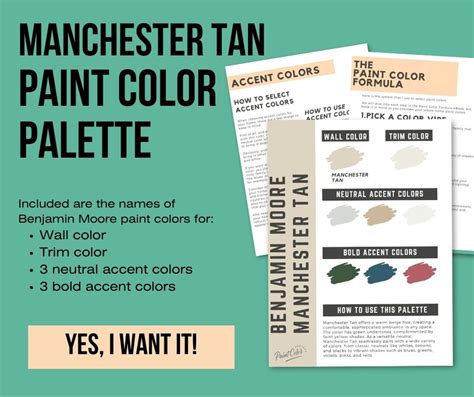 Benjamin Moore Manchester Tan: Complete Color Review - The Paint Color Project