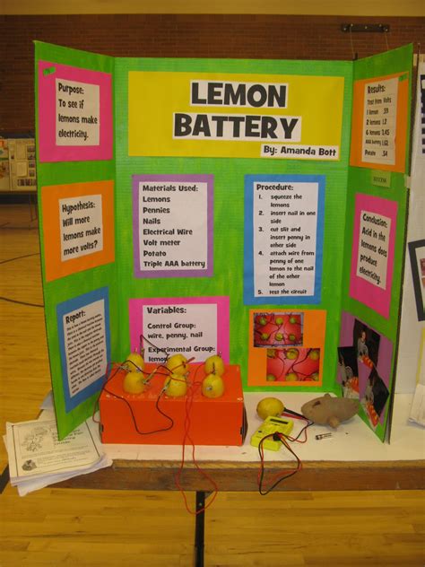 5th Grade Science Fair Project