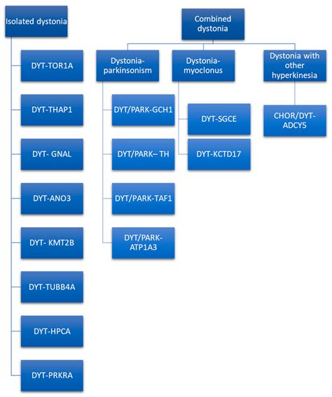 Clinical Neurophysiology and Genetics of Dystonia Diagnosis ...