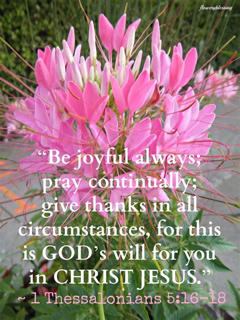 Flowery Blessing: “Be joyful always; pray continually; give thanks in all circumstances, for ...