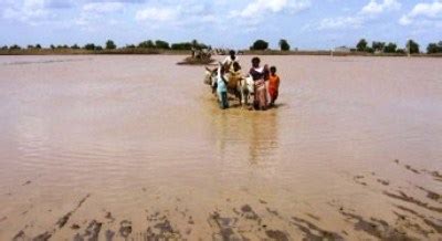 Flooding causes extreme destruction in South Sudan: IOM - Sudan Tribune