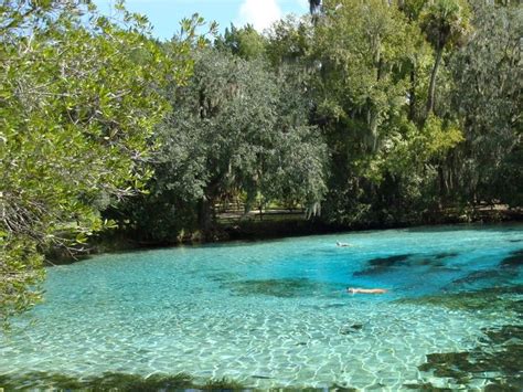 64 best Silver Glen Springs images on Pinterest | Florida springs, Spring wallpaper and Vacation ...