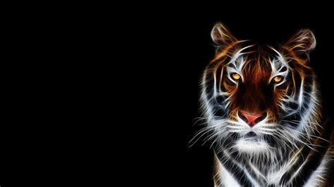 4K Tiger Wallpaper - KoLPaPer - Awesome Free HD Wallpapers