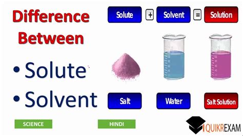 Difference Between Solute And Solvent | My XXX Hot Girl