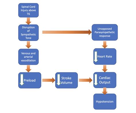 Neurogenic Shock - CriticalCareNow