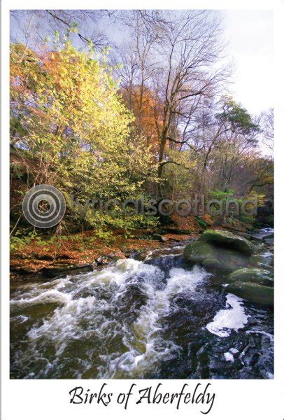 Birks, Aberfeldy, Autumn Postcard (V A6 LY) - Lyrical Scotland