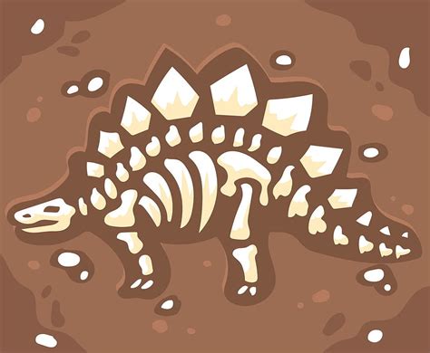 Fossil svg eps vector | UIDownload