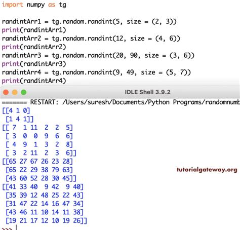 Numpy Randint