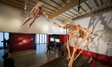 Dracula, the largest pterosaur found to date. : r/Naturewasmetal