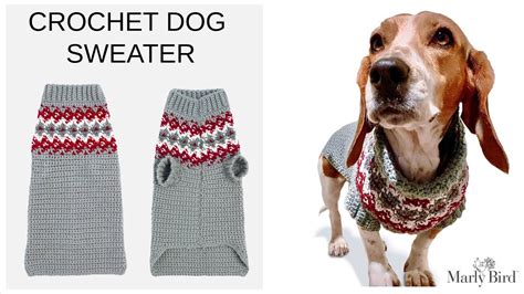 Free Harness-Friendly Dog Sweater Knitting Pattern: Keep Your Furry Pal Cozy and Comfortable ...