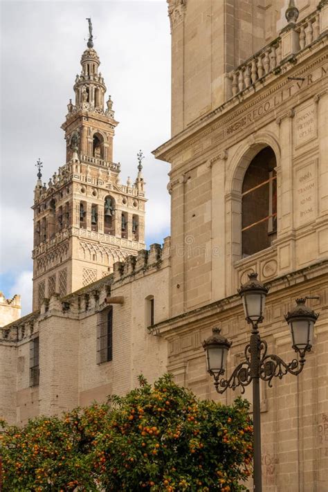 Orange Trees with the Cathedral of Seville in the Background Stock ...