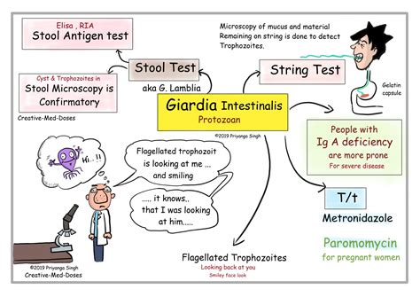 Giardia: Explosive Diarrhea for Hikers - Creative Med Doses