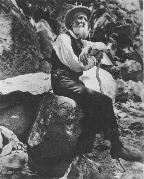 John Muir (1838–1914) Scottish-born American naturalist, author, and early advocate of ...