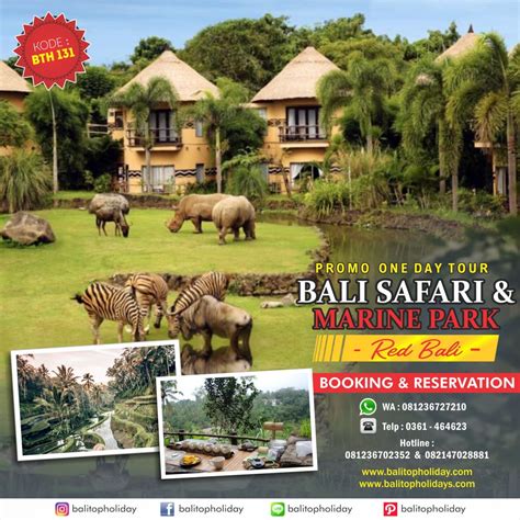 Paket Tour 1 hari Bali Safari & marine Park, kebun binatang terbesar di Bali