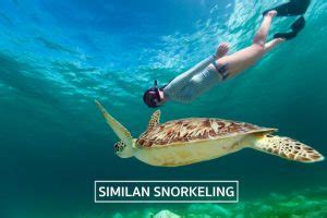 Snorkeling Similan Islands – Similan Seven Sea Club