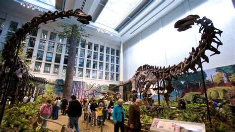 The Carnegie Museum of Natural History and its Dinosaurs! | Allegheny ...