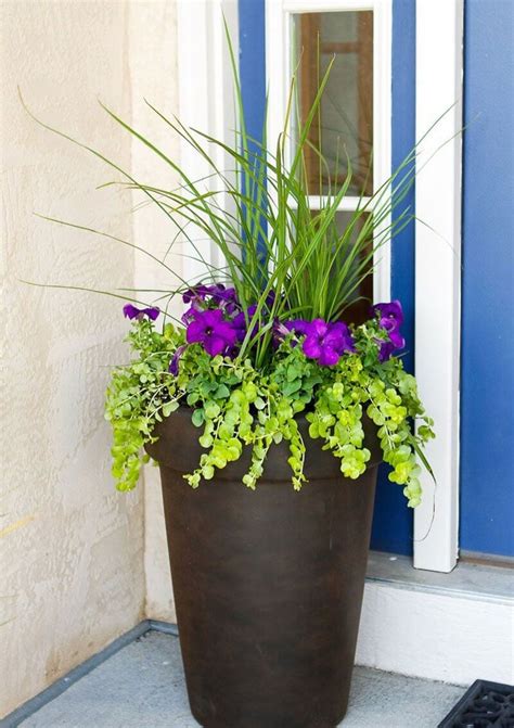 67 Best Front Door Flower Pots & Porch Planters (2023 Guide) (2023)