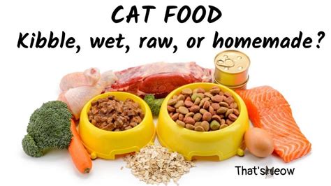 Understanding cat nutrition in 2021 | Cat nutrition, Food, Cat food