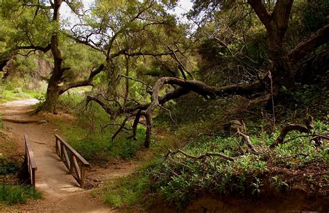 20 Incredible Hiking Trails in Orange County, CA for All Levels