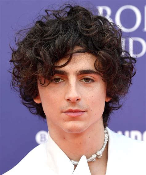 Timothee Chalamet Hairstyle With Curls - TheHairStyler.com