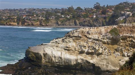 La Jolla Cove Tours - Book Now | Expedia