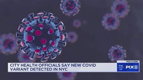 New COVID-19 variant detected in NYC: Health officials - YouTube