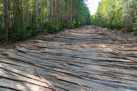 "Corduroy Road" Images – Browse 658 Stock Photos, Vectors, and Video | Adobe Stock