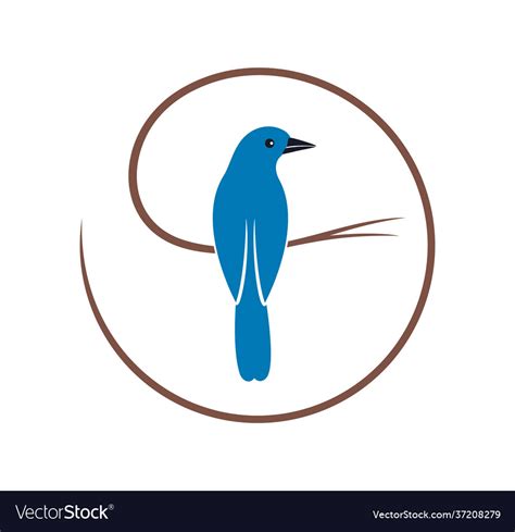 Blue jay Royalty Free Vector Image - VectorStock