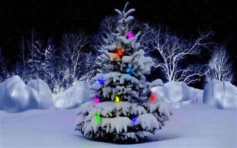 🔥 [40+] Christmas Tree Snow Wallpapers | WallpaperSafari