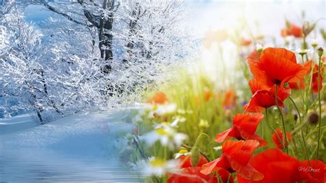 Winter To Spring Wallpapers - Wallpaper Cave