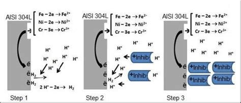 Proposed mechanism to explain both the corrosion and protection exerted ...