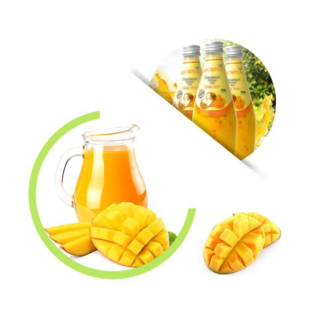 bulk Mango Concentrate Juice