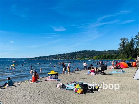 5 BEST Things to do at Sunset Beach Lake Sammamish