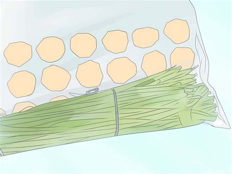 How to Harvest Chives: 6 Steps (with Pictures) - wikiHow