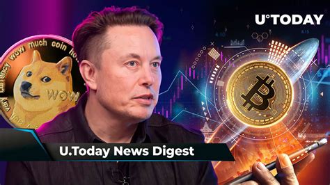 BTC Primed for Major Run, Biggest DOGE Fan Elon Musk Scores New Record, Shibarium Boosts Shiba ...