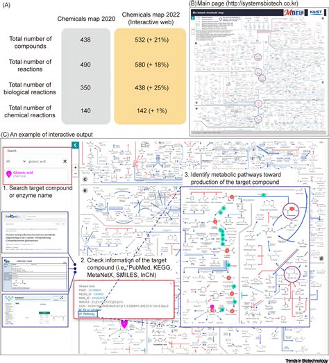 An interactive metabolic map of bio-based chemicals: Trends in Biotechnology