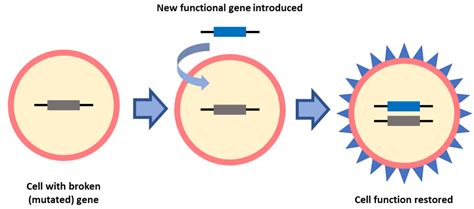 Gene Therapy & Clinical Trials to Treat Vision Loss | Fighting ...