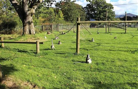 The Lake District Wildlife Park | Bassenthwaite, Keswick