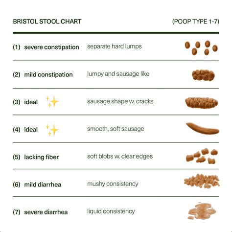 12 free printable stool color charts word pdf - microblog the bristol ...