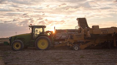 The Gold Standard of Potato Harvesting Equipment