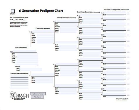 31+ Pedigree Chart Templates - PDF, DOC, Excel