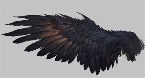 Digital Painting Classes I СG рисунок I ART DPC | Wings drawing, Wings art, Bird drawings